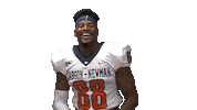 Family Dancing Sticker by Carson-Newman Athletics