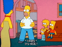 Season 1 GIF by The Simpsons