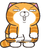 Cat What Sticker by MochiDad