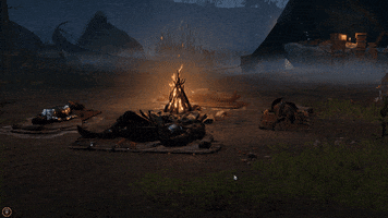 Camp Fire Sleep GIF by Larian Studios