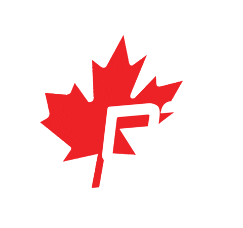 Engineering Navi Sticker by Ryerson Rams Robotics
