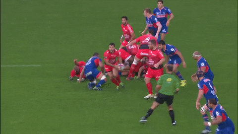 hit tackle GIF by FCG Rugby