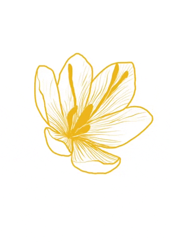 Cucksillustrations giphygifmaker flower gold ink GIF