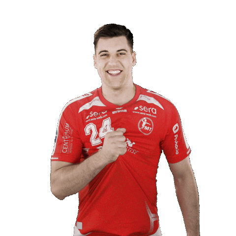 Handball Alex Sticker by MT Melsungen
