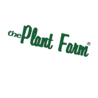 The_plant_farm plants plant mom greenhouse plant dad Sticker