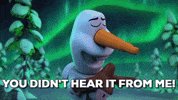 northern lights disney GIF by LEGO
