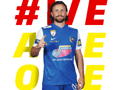 Football Sport Sticker by SKN St. Pölten