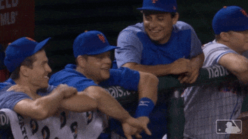 new york mets sport GIF by MLB