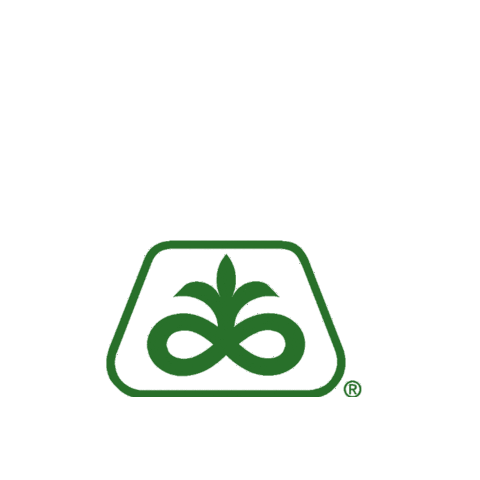 Pioneer Sticker by Cortevapy