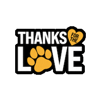 Thanks Evolve Sticker by Sunshine Mills