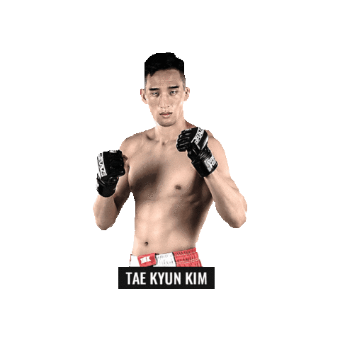 Mixed Martial Arts Mma Sticker by BRAVE Combat Federation