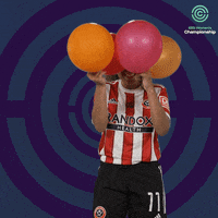 Sheffield Blades GIF by FA Women's Championship