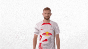 Football Soccer GIF by RB Leipzig