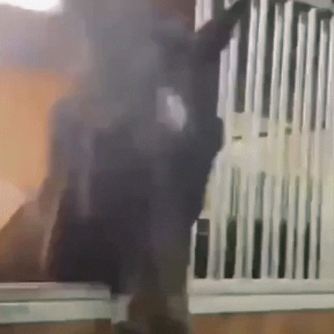 Horse GIF by Respective