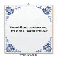 Hoop November GIF by Tegelspreuken.nl