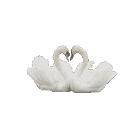 takarano love heart kiss white Sticker