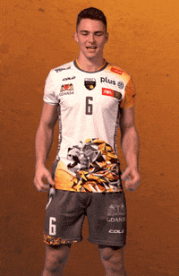 Point Win GIF by trefl_gdansk