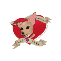 sofiaromanazzo charlie chihuahua carlottina carlottapagnotta Sticker