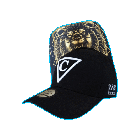 Baseball Hat Sticker by CapicheCaps