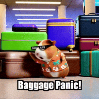 Airport Lost Luggage GIF by Guinea Gambino