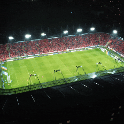 Football Rts GIF by Widzew Łódź