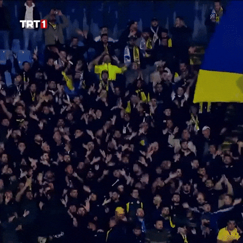 Futbol Spor GIF by TRT