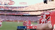 Kansas City Chiefs Football GIF by NFL