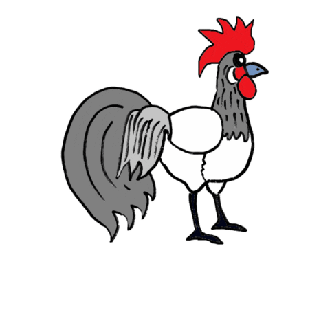 Chicken Rooster Sticker