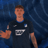 Sport Bundesliga GIF by TSG Hoffenheim