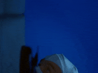 Ad-Rock Body Movin GIF by Beastie Boys