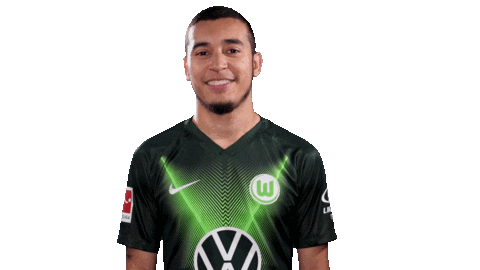 Soccer Instagram Sticker by VfL Wolfsburg
