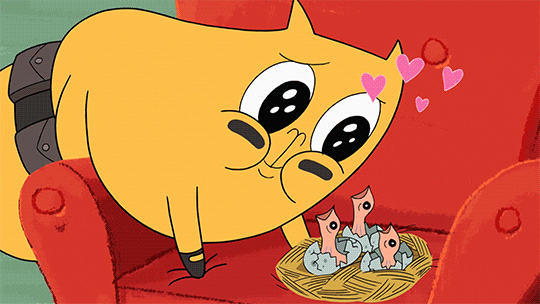 cat wtf GIF by Cartoon Hangover