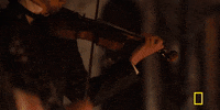 GIF by National Geographic Channel