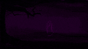 Trick Or Treat Halloween GIF