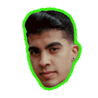 Bear Hello Sticker by Nuevo Elemento