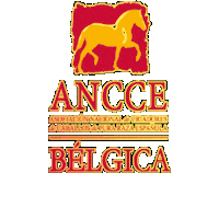 ANCCE-Belgica ancce ancce-belgica anccebelgica Sticker