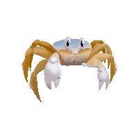 Beach Crab Sticker by Projeto Marsupiais