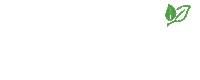 Transforma Sticker by Pormade Online