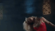 britney spears toxic in the zone GIF