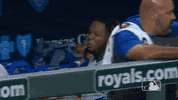 Major League Baseball 2019 Mlb Regular Season GIF by MLB