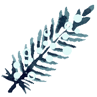 Decorate Merry Christmas Sticker