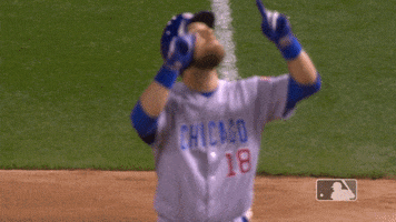 celebration ben GIF by MLB