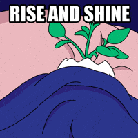 Tired Good Morning GIF by Magic Eden