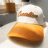 Head Hat GIF by VeeFriends