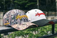 Head Hat GIF by VeeFriends