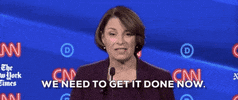 Demdebate GIF by GIPHY News