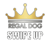 regaldog dog regal dog regaldog imaregaldog Sticker