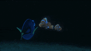 finding dory GIF by Disney/Pixar's Finding Dory
