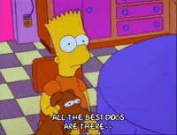 Staring Season 3 GIF by The Simpsons