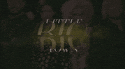 little big town GIF by CMT Artists of the Year